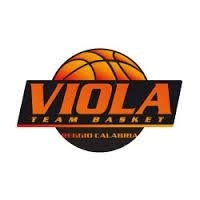 Viola Basket, nominato nuovo presidente. Giusva Branca è il nuovo number one